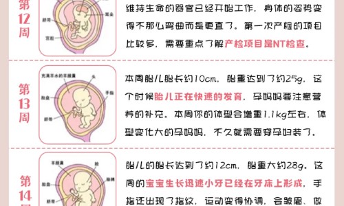 怀孕5个月上大便有血渍网 - 怀孕五个月拉屎出血要紧吗,孕5个月大便有血要紧吗