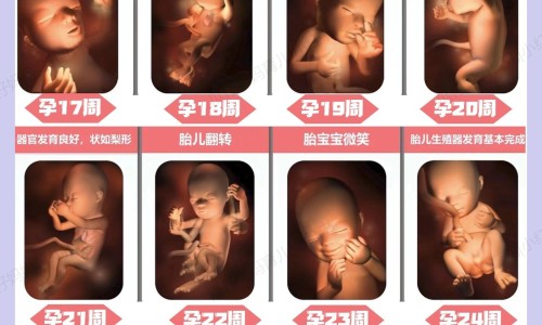 怀孕5个月上大便有血渍网 - 怀孕五个月拉屎出血要紧吗,孕5个月大便有血要紧吗