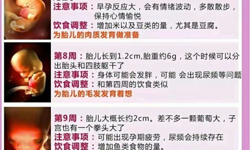 怀孕5个月上大便有血渍网 - 怀孕五个月拉屎出血要紧吗,孕5个月大便有血要紧吗