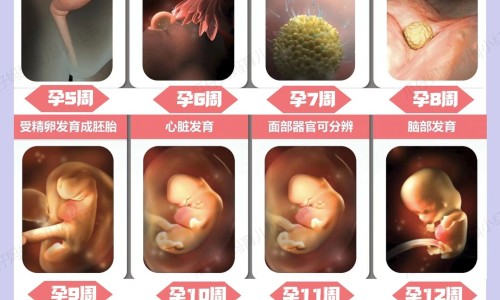 怀孕5个月上大便有血渍网 - 怀孕五个月拉屎出血要紧吗,孕5个月大便有血要紧吗